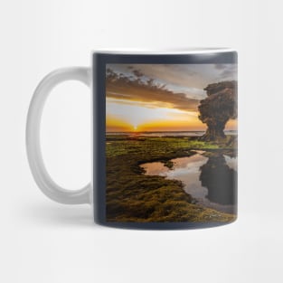 Sierra Nevada Rock, Point Nepean, Portsea, Victoria, Australia Mug